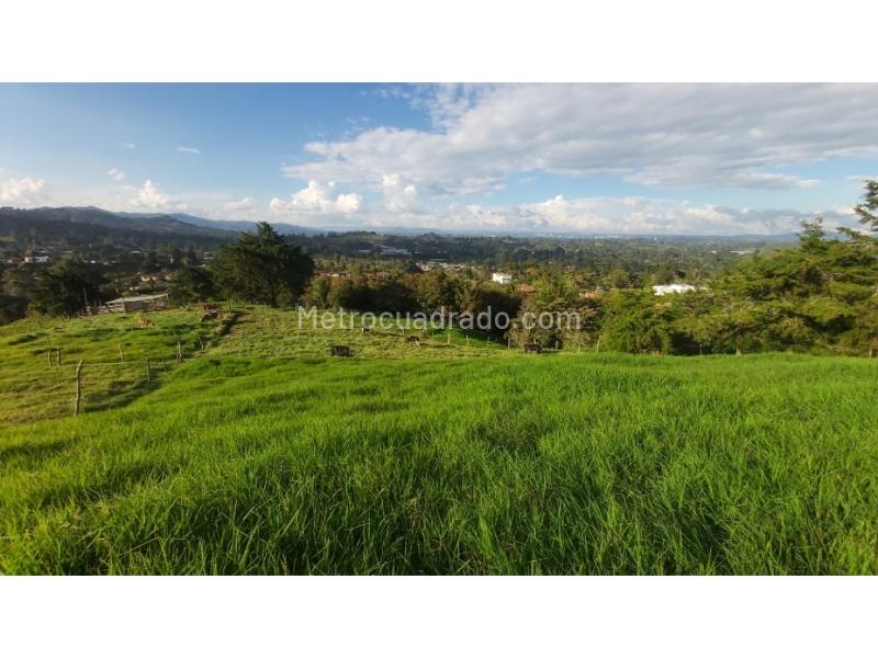 Lote en Venta, Pontezuela, Rionegro - Más
