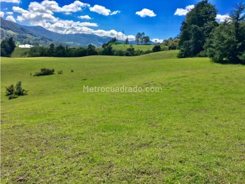 Lote en Venta, Rionegro, Rionegro - Vista 2