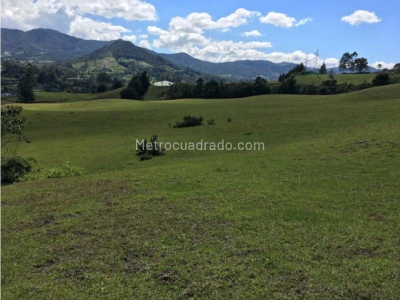 Lote en Venta, Rionegro, Rionegro - Vista 4