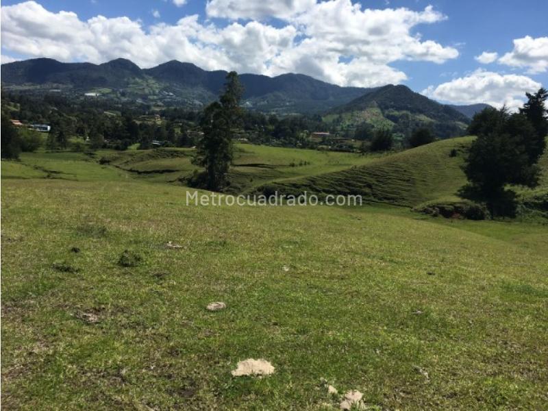 Lote en Venta, Rionegro, Rionegro - Vista 5