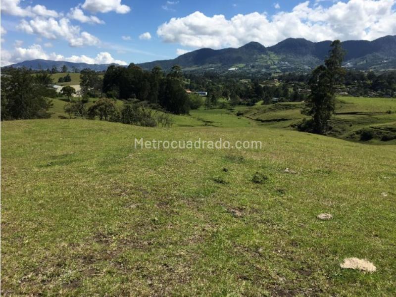 Lote en Venta, Rionegro, Rionegro - Más