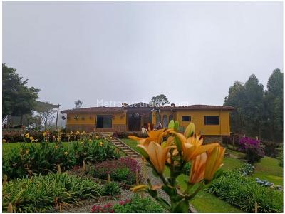Casa de 3 alcobas en venta en Vda La Ilusion, Medellín, 460 m² · foto 7 de 20