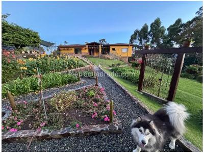 Casa de 3 alcobas en venta en Vda La Ilusion, Medellín, 460 m² · foto 8 de 20