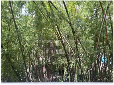 Apartamento de 3 alcobas en venta en Castropol, Medellín, 182 m² · foto 4 de 20