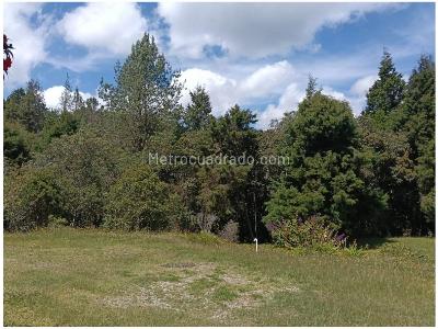 Casa de 3 alcobas en venta en Vereda Piedras Blancas, Medellín, 280 m² · foto 15 de 20