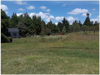 Casa de 3 alcobas en venta en Vereda Piedras Blancas, Medellín, 280 m² · foto 16 de 20
