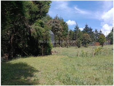 Casa de 3 alcobas en venta en Vereda Piedras Blancas, Medellín, 280 m² · foto 17 de 20