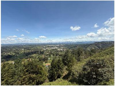 Casa de 4 alcobas en venta en Sajonia, Rionegro, 325 m² · foto 11 de 19