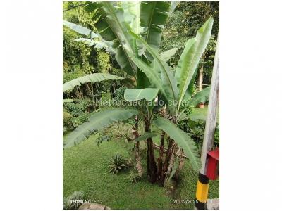 Casa en venta en El Trianon, Envigado · foto 10 de 20