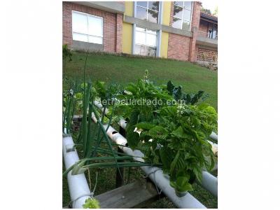 Casa de 4 alcobas en venta en Loma Del Escobero, Envigado, 330 m² · foto 6 de 20