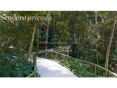 Apartamento de 3 alcobas en venta en El Poblado, Medellín, 160 m² · foto 9 de 16