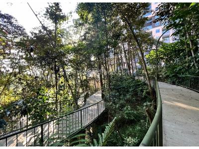Apartamento de 3 alcobas en venta en El Poblado, Medellín, 217 m² · foto 7 de 20