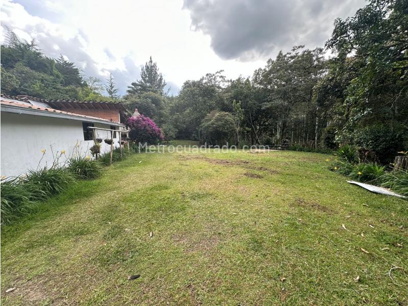 Casa en Arriendo, Llano Grande, Rionegro - 5