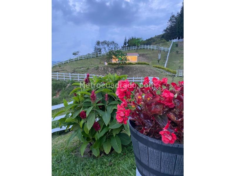 Spectacular Country House for Rent in La Miel, Caldas - 5