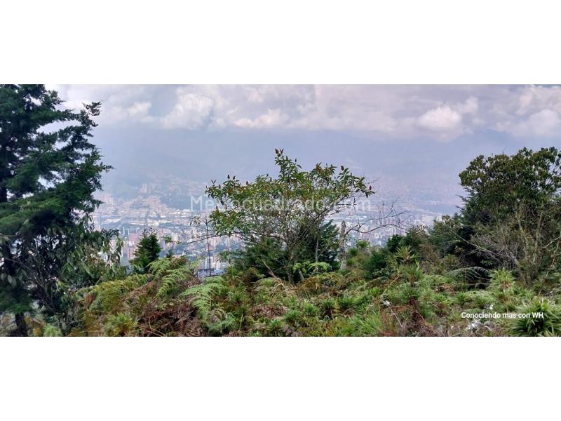 Lote en Venta, El Poblado, Medellín - Vista 2