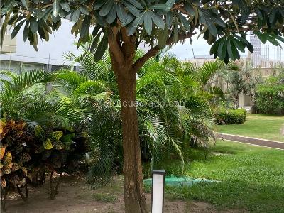 Apartamento de 3 alcobas en venta en Paraiso, Barranquilla, 66 m² · foto 5 de 20