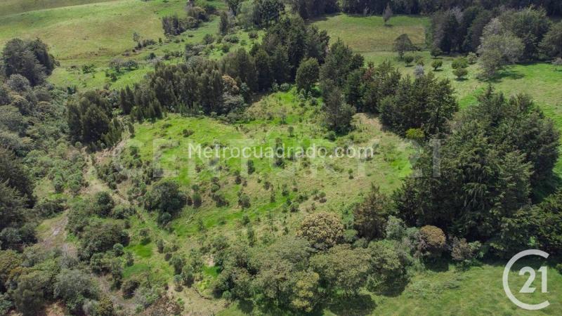 Lote en Venta, Rionegro, Rionegro - Vista 2