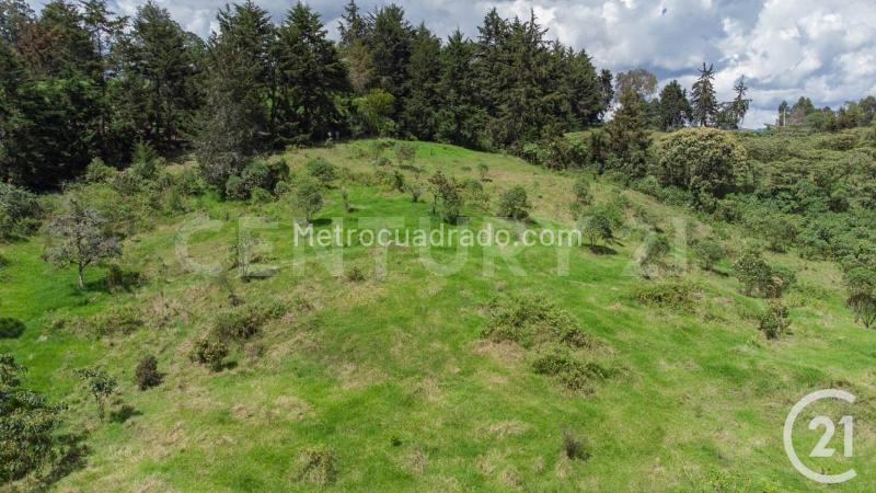 Lote en Venta, Rionegro, Rionegro - Vista 3