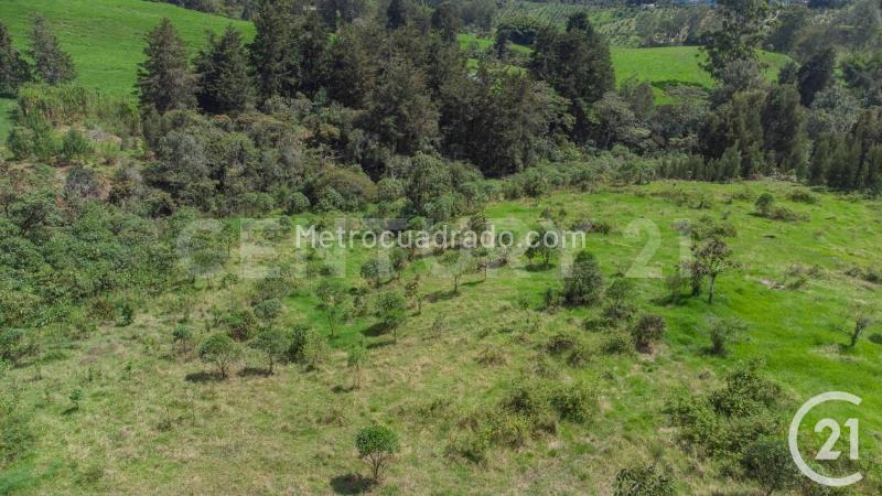 Lote en Venta, Rionegro, Rionegro - Vista 4