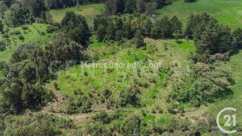 Lote en Venta, Rionegro, Rionegro - Vista 5
