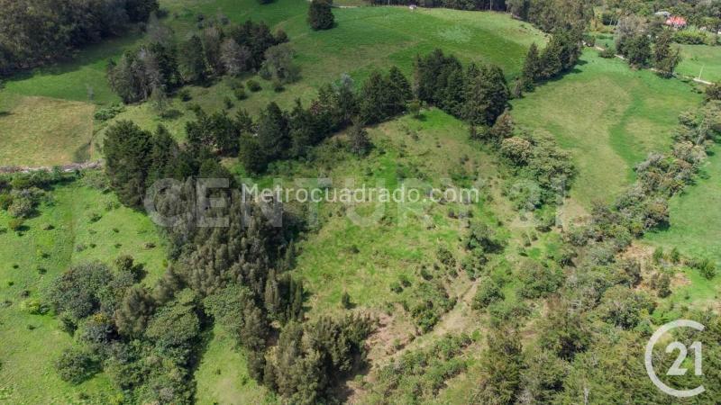 Lote en Venta, Rionegro, Rionegro - Más