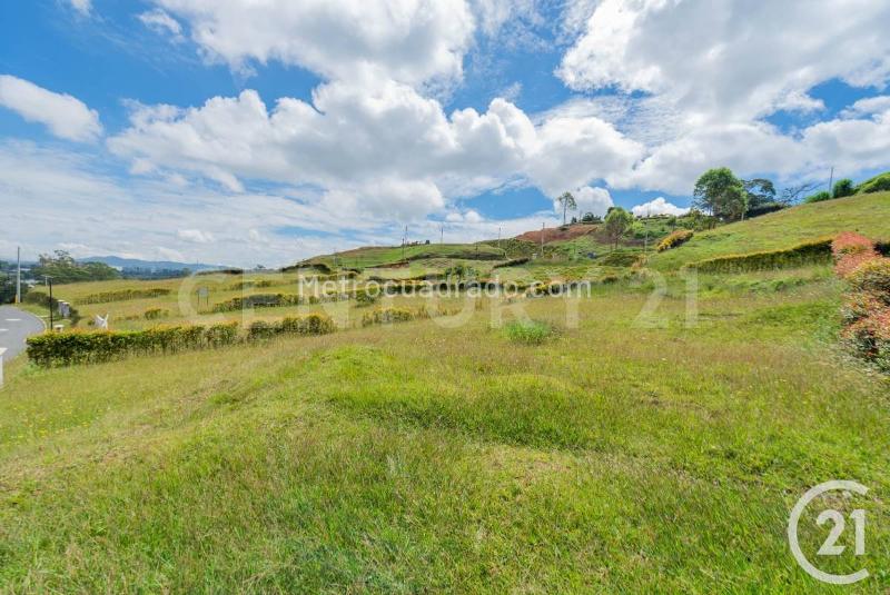 Lote en Venta, Rionegro, Rionegro - Vista 4