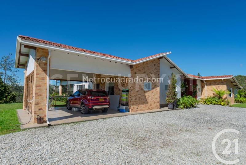 4BR Finca in Vereda Pantanillo (10200 m²)