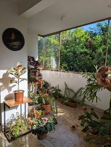 Apartamento de 4 alcobas en venta en Castropol, Medellín, 226 m² · foto 7 de 19