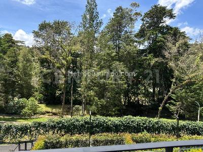 Apartamento de 1 alcoba en venta en Sajonia, Rionegro, 59 m² · foto 9 de 20