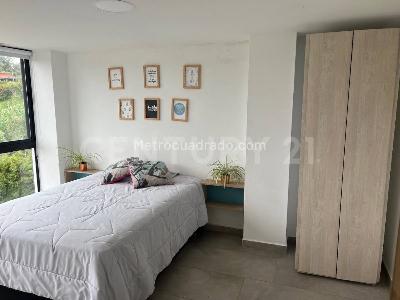 Casa de 5 alcobas en arriendo en Vereda San Jose, Rionegro, 350 m² · foto 13 de 14