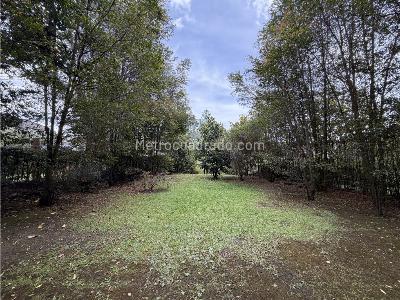 Casa de 3 alcobas en venta en Llanogrande, Rionegro, 215 m² · foto 5 de 19
