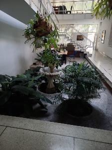 Casa de 5 alcobas en venta en Versalles, Cali, 523 m² · foto 3 de 19