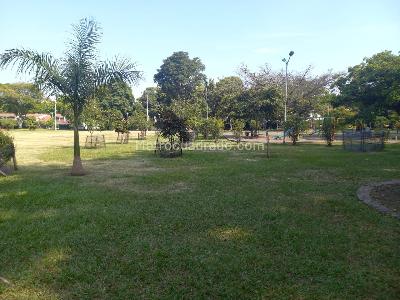 Casa de 4 alcobas en venta en Parque La Flora, Cali, 425 m² · foto 7 de 20