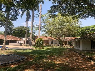 House for rent in PANCE, Cali