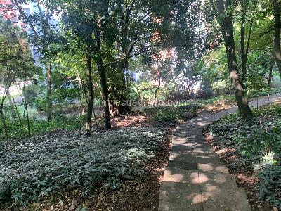 Apartamento en venta en Aguacatal, Cali · foto 20 de 20