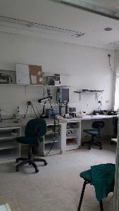 Edificio de Oficinas en Arriendo, NUEVA TEQUENDAMA, Cali