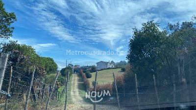 Casa de 4 alcobas en venta en Chia, Chía, 480 m² · foto 3 de 20