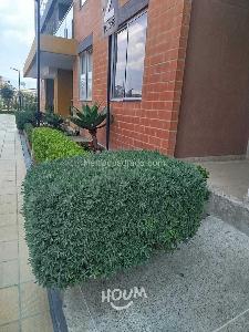 Apartamento de 3 alcobas en venta en Kennedy, Bogotá, 62 m² · foto 2 de 20