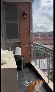 Apartamento en venta en Mosquera, Mosquera · foto 15 de 20