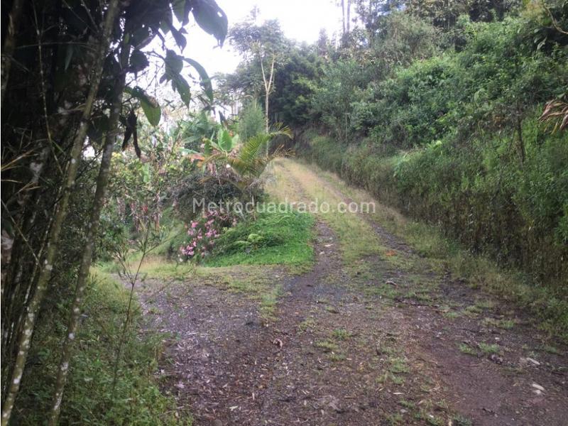 Lote en Venta, Boqueron, Dosquebradas - Vista 4