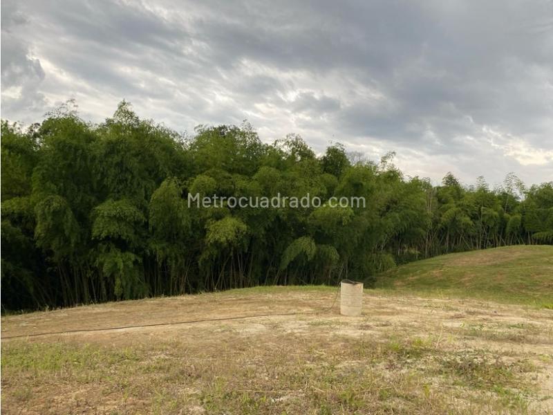 Lote en Venta, Cerritos, Pereira - Vista 2