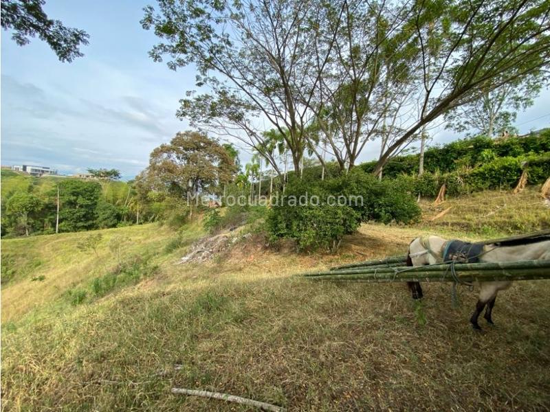 Lote en Venta, Alamos, Pereira - Vista 5