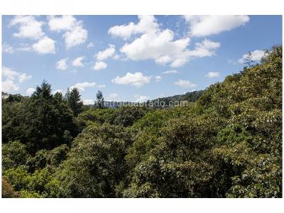 Casa de 4 alcobas en venta en Alto De Palmas, Envigado, 1630 m² · foto 14 de 18