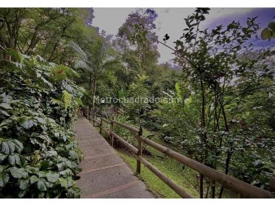 Apartamento en venta en El Poblado El Tesoro, Medellín · foto 19 de 19