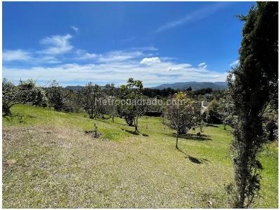Casa de 3 alcobas en venta en Alto De Palmas, Envigado, 450 m² · foto 6 de 20