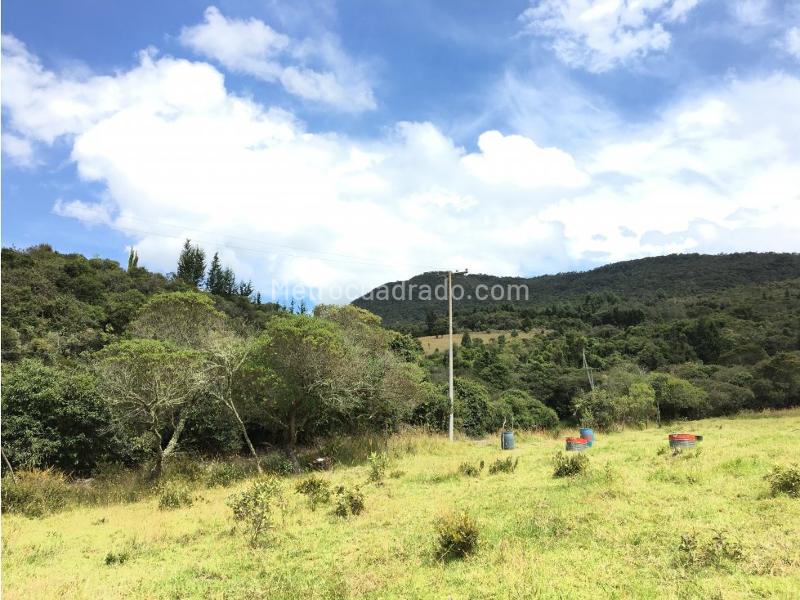 Lote en Venta, Sindamanoy Sofropolis Yerbabuena, Chía - Vista 3