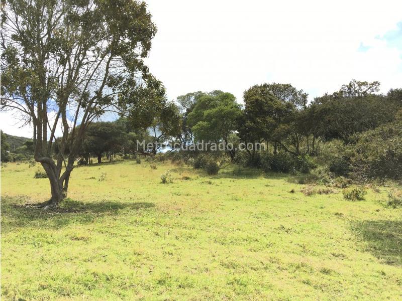 Lote en Venta, Sindamanoy Sofropolis Yerbabuena, Chía - Vista 4