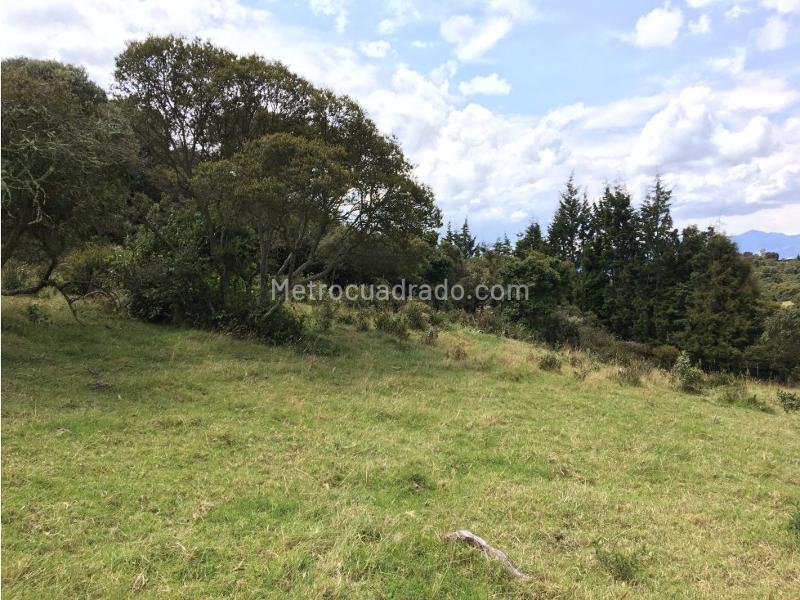 Lote en Venta, Sindamanoy Sofropolis Yerbabuena, Chía - Más