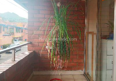 Casa de 4 alcobas en venta en Belen, Medellín, 154 m² · foto 15 de 15