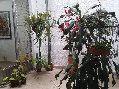Casa de 3 alcobas en venta en Laureles, Medellín, 200 m² · foto 20 de 20